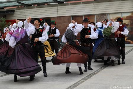 Čebela velikanka potuje po Kamniku (62)